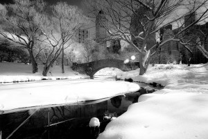 El privilegio de pasear sobre la nieve en Central Park.